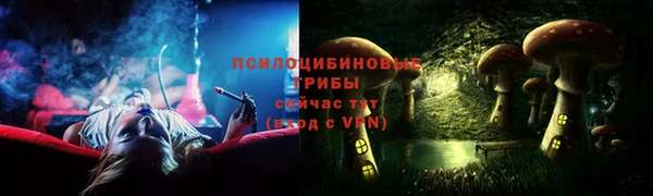 a pvp Богородицк